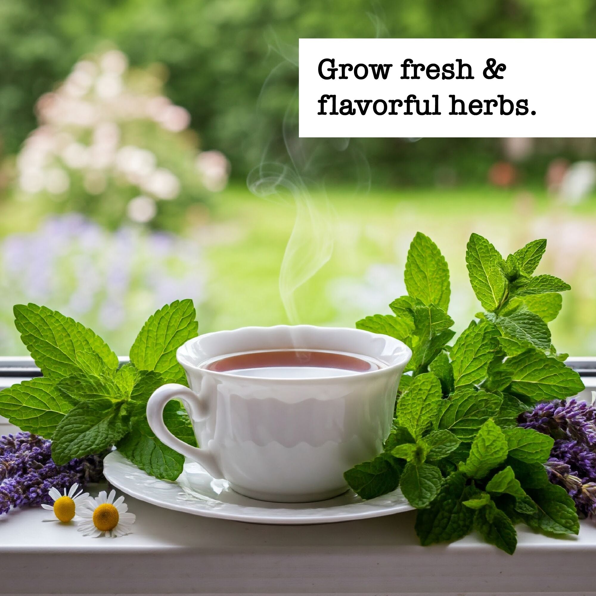 Grow fresh and flavorful herbs